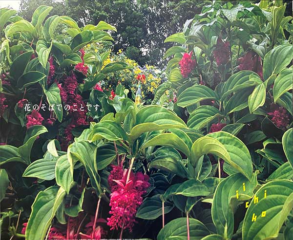 いいちこポスタ−202603